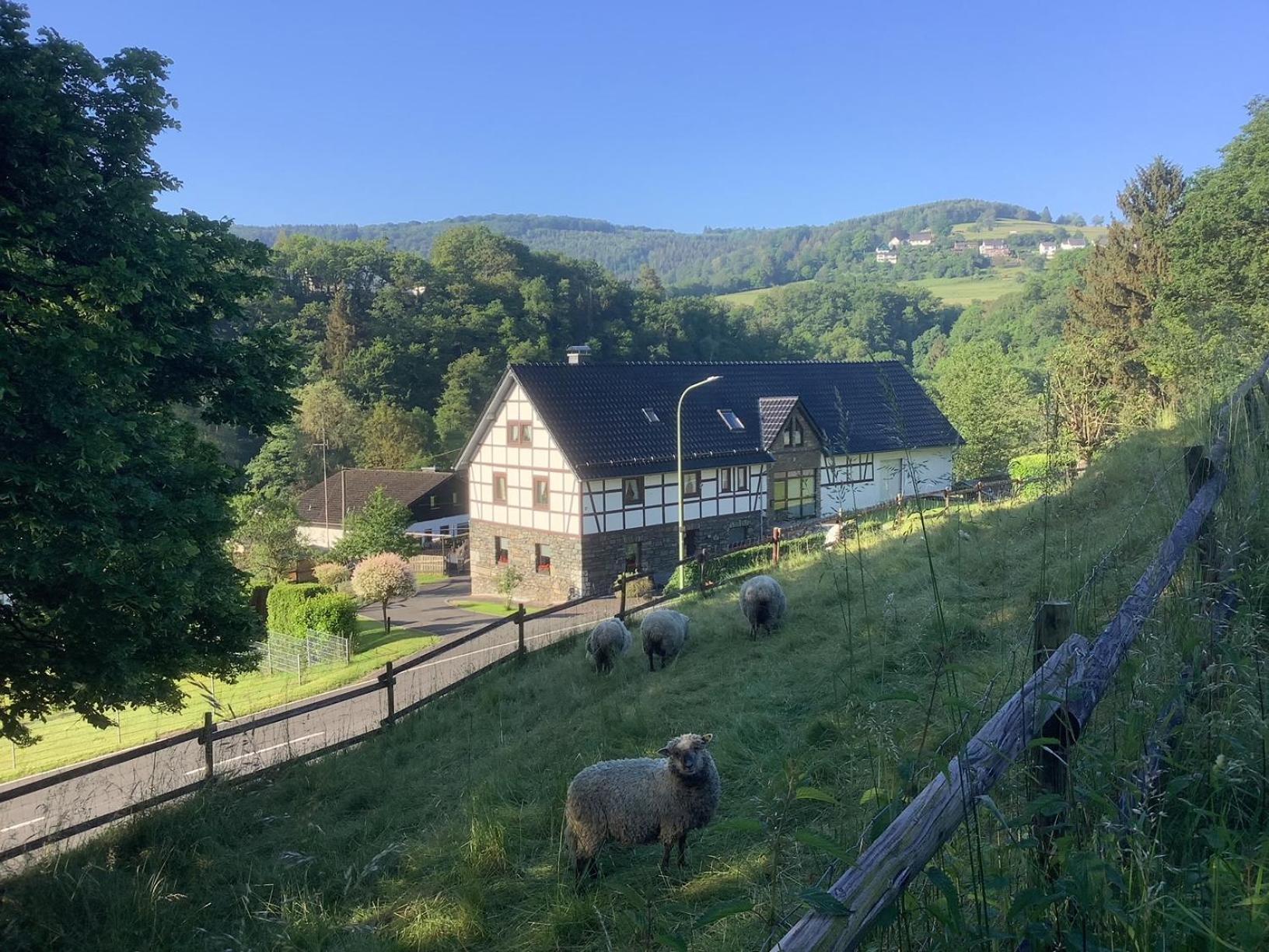 Berg Blick Eifler Bauernhaus Modern Restauriert Simmerath Exterior photo